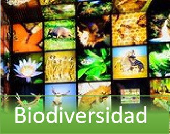 Preserva la Biodiversidad